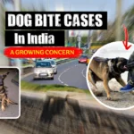 Dog Bite Cases in India showing a dog attacking a person on a busy Indian road