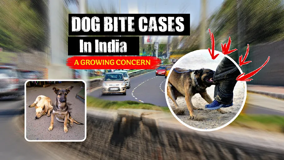 Dog Bite Cases in India showing a dog attacking a person on a busy Indian road