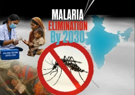 Malaria elimination in India by 2030 with mosquito prevention and malaria testing