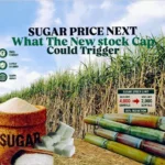 Sugar stock limit cut from 4,000 to 2,000 quintals as India seeks to control prices and supplies
