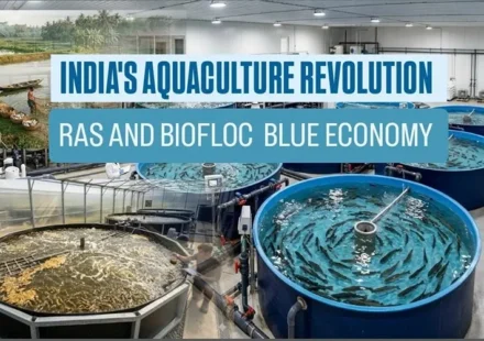 India’s aquaculture revolution with RAS and Biofloc technology supporting modern fish farming and the Blue Economy